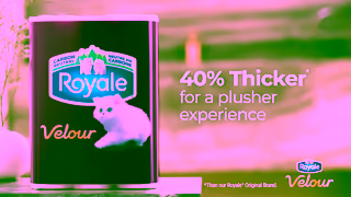 ROYALE Thicker Tissue More Comfort Ad Commercial Brand Imagery Photoshoot 2