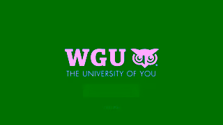 Western Governors University 23 1521584 VID P5 TS IT UF Masters 15sec 1920x1080 v2 Ad Commercial Brand Imagery Photoshoot 2