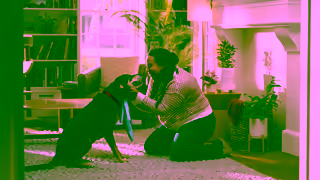 PetSmart Hills The Right Start March NAW 15 Ad Commercial Brand Imagery Photoshoot 0