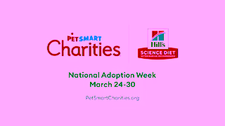 PetSmart Hills The Right Start March NAW 15 Ad Commercial Brand Imagery Photoshoot 2