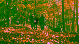 Nova Scotia Tourism Discover fall at Kejimkujik National Park and National Historic Site Ad Commercial Brand Imagery Photoshoot 1