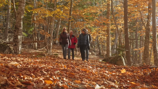 Nova Scotia Tourism Discover fall at Kejimkujik National Park and National Historic Site Ad Commercial Brand Imagery Photoshoot 1