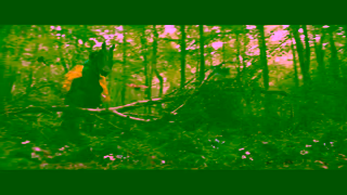 Disney Disneys Snow White Now Playing in Theatres Get Tickets Now Ad Commercial Brand Imagery Photoshoot 0