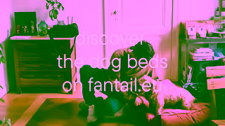 Fantail Fantail Dog Beds Ad Commercial Brand Imagery Photoshoot 2