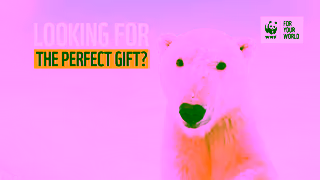 WWF Adopt An Animal As A Gift With WWF Ad Commercial Brand Imagery Photoshoot 0