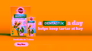 Pedigree Pedigree Dentastix Ad Commercial Brand Imagery Photoshoot 2