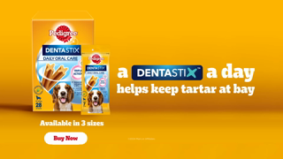 Pedigree Pedigree Dentastix Ad Commercial Brand Imagery Photoshoot 2