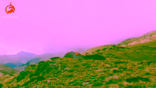 Bushbuck Bushbuck Camping 15 Ad Commercial Brand Imagery Photoshoot 0