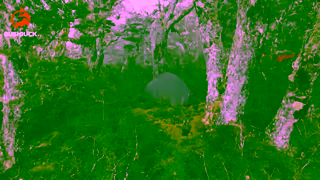 Bushbuck Bushbuck Camping 15 Ad Commercial Brand Imagery Photoshoot 1
