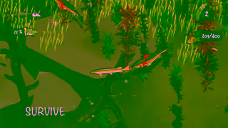 Telefix Games Fish Simulator Agonik Lake Ad Commercial Brand Imagery Photoshoot 0