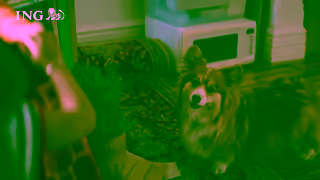 ING Bank Do your thing with INGs Mortgage Simplifier Ad Commercial Brand Imagery Photoshoot 0