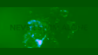 Universal Pictures Night Swim Warning Never Swim Alone Your to Own 15 16x9 Ad Commercial Brand Imagery Photoshoot 1
