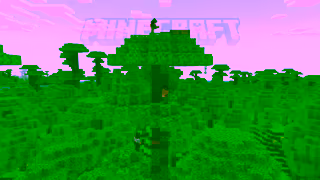 Minecraft BuildingAHome Ad Commercial Brand Imagery Photoshoot 0