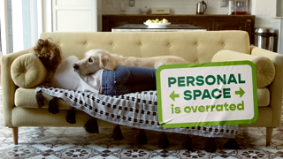 Freshpet Full beds fuller hearts Ad Commercial Brand Imagery Photoshoot 1