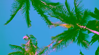 Paradisus Where you stay you discover Ad Commercial Brand Imagery Photoshoot 1