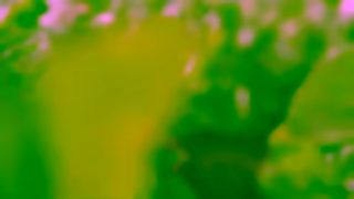 Gourmet Garden Gourmet Garden Herbs Spices Stays Fresh for Longer 2023 15 second Ad Commercial Brand Imagery Photoshoot 0