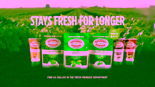 Gourmet Garden Gourmet Garden Herbs Spices Stays Fresh for Longer 2023 15 second Ad Commercial Brand Imagery Photoshoot 2