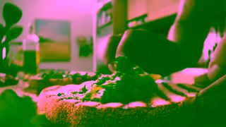 Abbott's Bakery Abbotts Bakery Made for Makers 15 sec Ad Commercial Brand Imagery Photoshoot 1