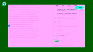 Grammarly Earn Your Best Grades Succeed in School With Grammarly Ad Commercial Brand Imagery Photoshoot 2