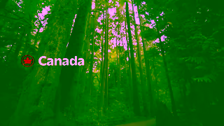 Air Canada 0425 RT 0357 POS CA Domestic Campaign BC Vancouver 10s 1920x1080 EN Ad Commercial Brand Imagery Photoshoot 0