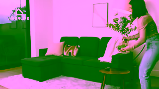 Amerlife Horizontal We dont need a new sofa 19S Ad Commercial Brand Imagery Photoshoot 1