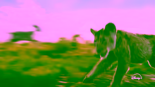 Disney Plus Now streaming Ad Commercial Brand Imagery Photoshoot 1