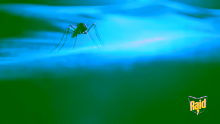 Raid Raid Light Trap InsecticideFree Pest Protection Ad Commercial Brand Imagery Photoshoot 0