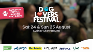 The Dog Lovers Festival Sydney Dog Lovers Festival 2024 Preview Video Ad Commercial Brand Imagery Photoshoot 2