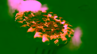 Pizza Hut Pizza Hut Cheesy Bites Pizza Ad Commercial Brand Imagery Photoshoot 1