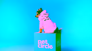PetCircle Pet Circle Top Dog Ad Snuggles NC 30 off 15 Ad Commercial Brand Imagery Photoshoot 1
