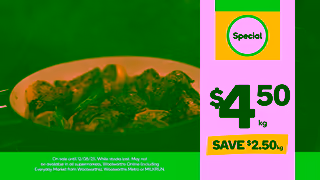 Woolworths OLV WSUP7198T156A WHOLE CHICKEN Ad Commercial Brand Imagery Photoshoot 1