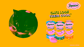 Temptations Temptations Creamy Spoons Valentines Ad Commercial Brand Imagery Photoshoot 2
