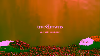 trueBrowns Flat 40 OFF Diwali Blockbuster Sale Ad Commercial Brand Imagery Photoshoot 2