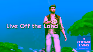 The Sims f50aa85814431TURTS4CottageLivingPaidPBMEvergreen1080p16x92997fps15sENGUS01 Ad Commercial Brand Imagery Photoshoot 1
