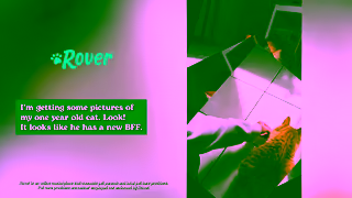 Rover.com Paid US 2025 Organic Assets Cat General 30 16x9 Ad Commercial Brand Imagery Photoshoot 1