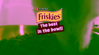 Friskies On a Quest for the Best Dry Cat Food Try Friskies Dry Cat Food Ad Commercial Brand Imagery Photoshoot 2