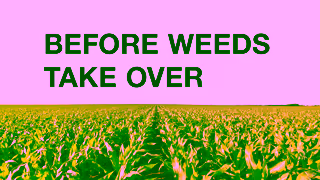 BASF Take Control of Weeds with Status Herbicide Ad Commercial Brand Imagery Photoshoot 0