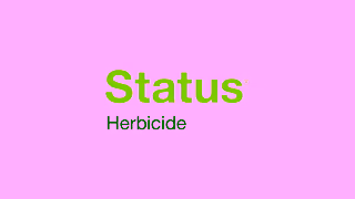 BASF Take Control of Weeds with Status Herbicide Ad Commercial Brand Imagery Photoshoot 2