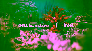 Dell Dell Technologies Tourists Ad Commercial Brand Imagery Photoshoot 2