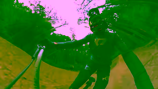 Monster Energy Jack Moir MTB  Monster Energy Ad Commercial Brand Imagery Photoshoot 1