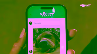 Rover.com Paid UK 2025 Brands 2 Life Dog Daytime 15 16x9 Ad Commercial Brand Imagery Photoshoot 2
