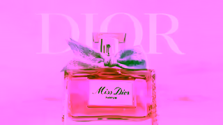 Dior Video Ad Ad Commercial Brand Imagery Photoshoot 2