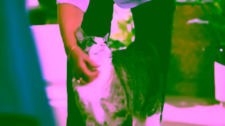 ADVANCE Pet AUSSIE SCIENCE Website For Them Too Ad Commercial Brand Imagery Photoshoot 0