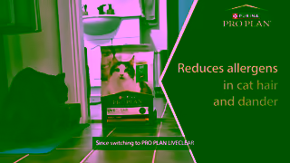 Purina Watch Storm Nins Story PRO PLAN LIVECLEAR Allergen Reducing Cat Food Ad Commercial Brand Imagery Photoshoot 1