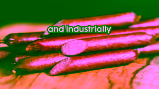 Paleovalley Paleovalley Beef Sticks 30 for 36 Ad Commercial Brand Imagery Photoshoot 2