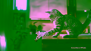 Whiskas Its Purr OClock Ad Commercial Brand Imagery Photoshoot 0