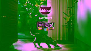 Whiskas Its Purr OClock Ad Commercial Brand Imagery Photoshoot 2