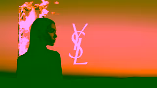 Yves Saint Laurent LIBRE FLOWERS FLAMES l Hero Video Duo l YSL BEAUTY Ad Commercial Brand Imagery Photoshoot 0