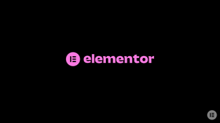 Elementor 13 Pain Points 302 Business Owner Ai Ad Commercial Brand Imagery Photoshoot 2