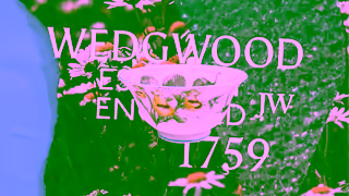 WEDGWOOD Wedgwood Voyage of the Beagle Ad Commercial Brand Imagery Photoshoot 1